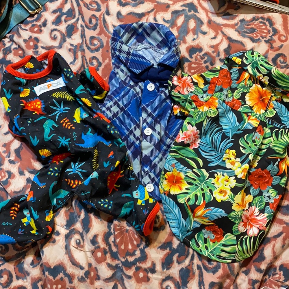 Dinosaur pjs/ 2 collared dog shirts Small